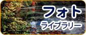 フォトライブラリー
